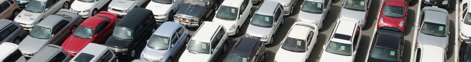 Cars at auction