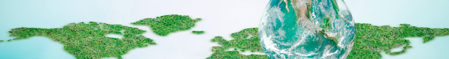 Capture d’écran 2020-04-08 à 18.08.17 ESG